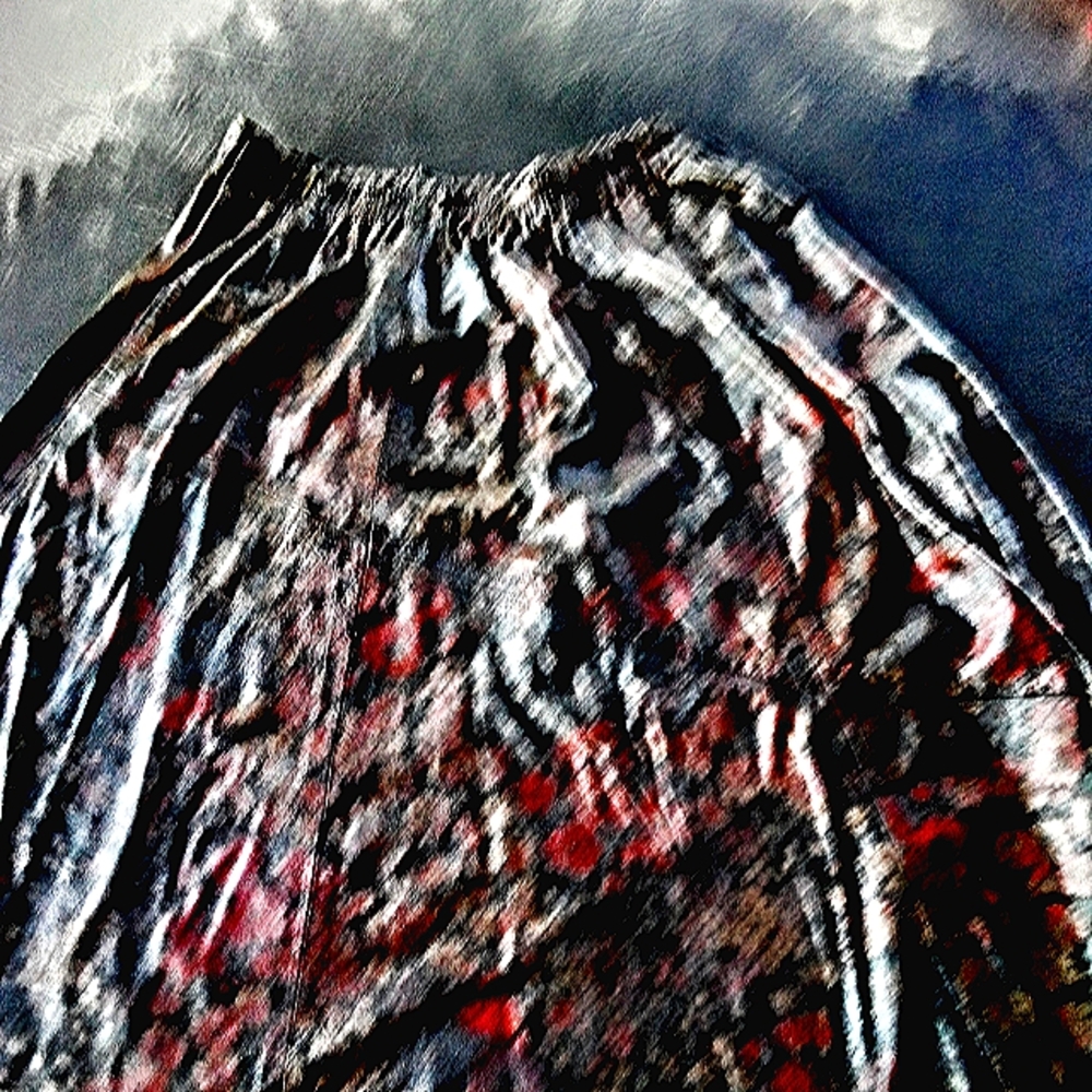 Woman's dress